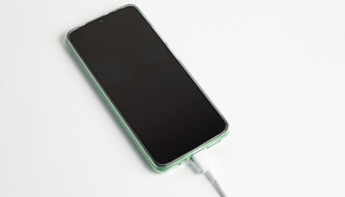 شارژر دیواری 25 وات سامسونگ ORG